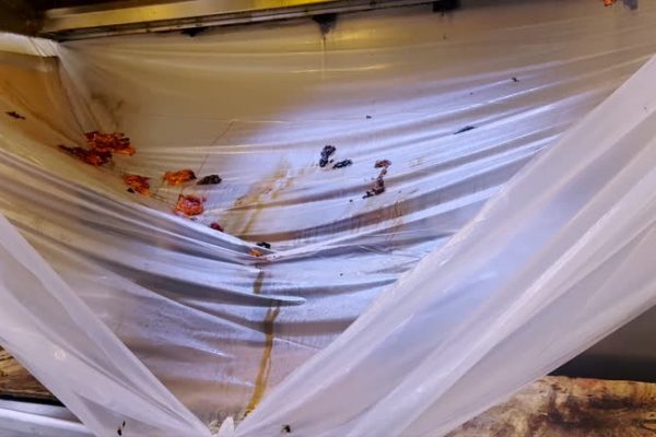 Crawlspace Encapsulation vs Vapor Barriers Key Differences